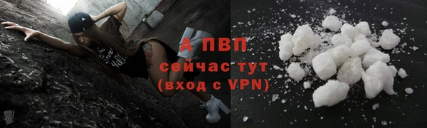 гидропоника Белокуриха