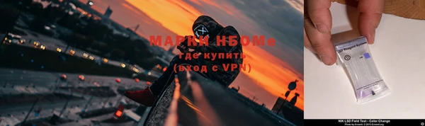 гидропоника Белокуриха