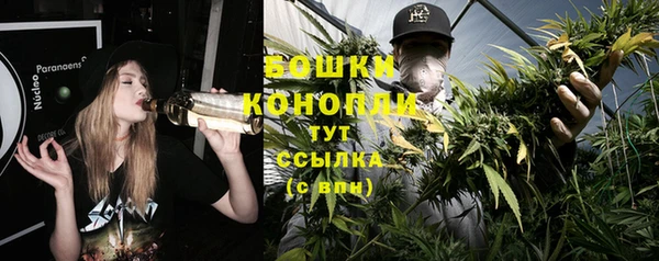 гидропоника Белокуриха
